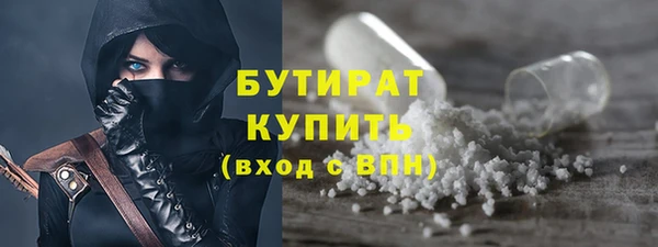 индика Володарск